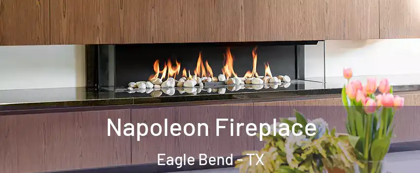 Napoleon Fireplace Eagle Bend - TX