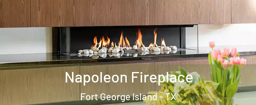 Napoleon Fireplace Fort George Island - TX