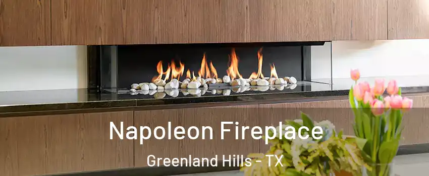 Napoleon Fireplace Greenland Hills - TX