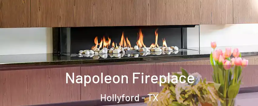 Napoleon Fireplace Hollyford - TX