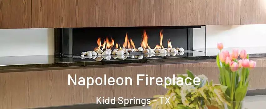 Napoleon Fireplace Kidd Springs - TX