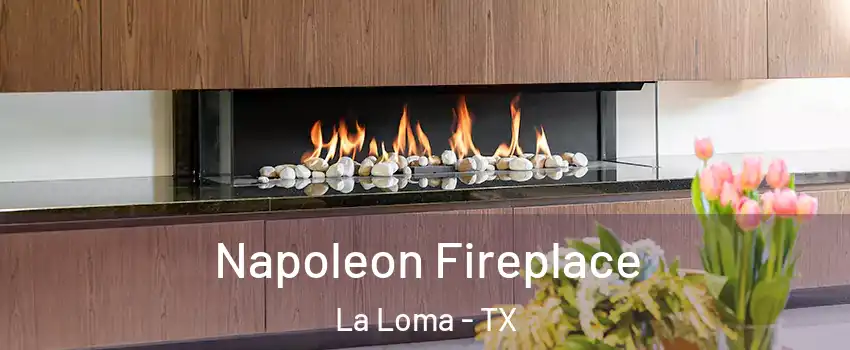 Napoleon Fireplace La Loma - TX