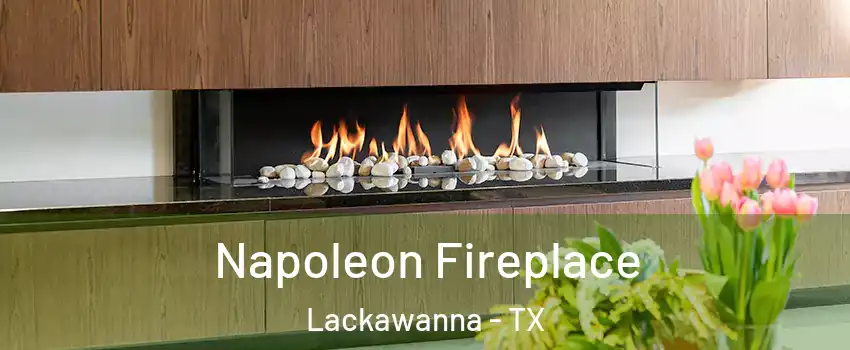 Napoleon Fireplace Lackawanna - TX