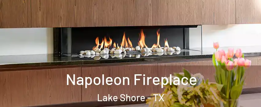 Napoleon Fireplace Lake Shore - TX