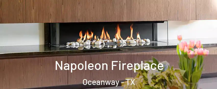 Napoleon Fireplace Oceanway - TX