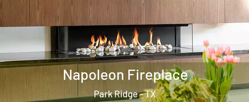 Napoleon Fireplace Park Ridge - TX