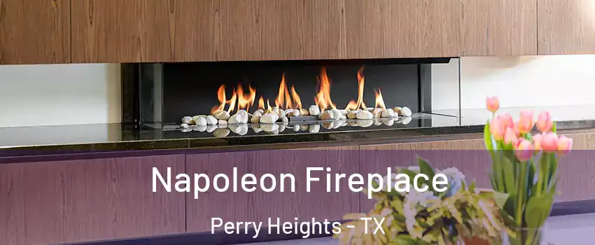 Napoleon Fireplace Perry Heights - TX