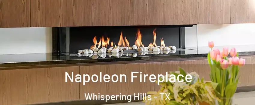 Napoleon Fireplace Whispering Hills - TX