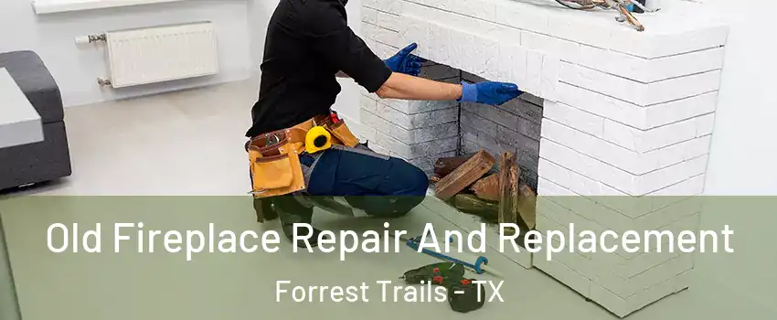 Old Fireplace Repair And Replacement Forrest Trails - TX