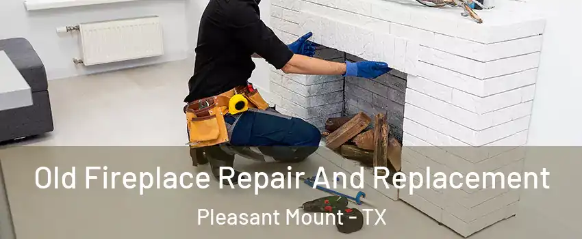 Old Fireplace Repair And Replacement Pleasant Mount - TX