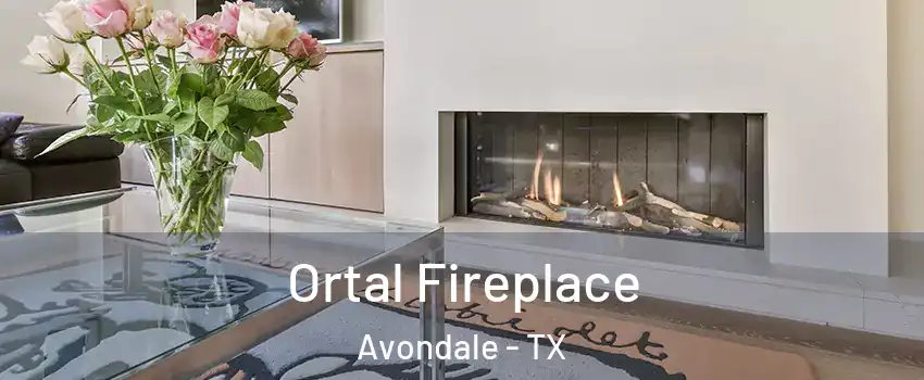 Ortal Fireplace Avondale - TX