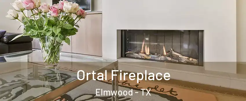 Ortal Fireplace Elmwood - TX