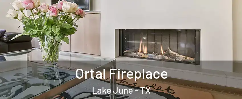 Ortal Fireplace Lake June - TX