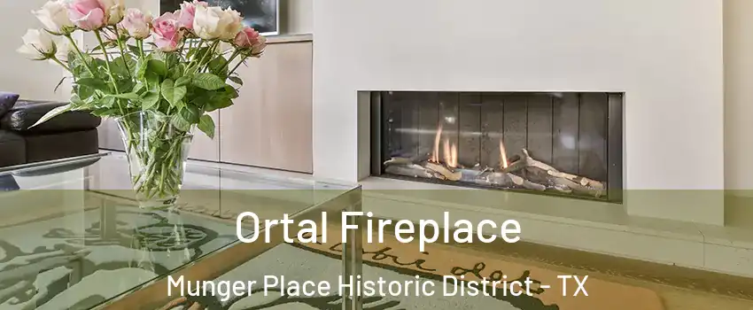 Ortal Fireplace Munger Place Historic District - TX