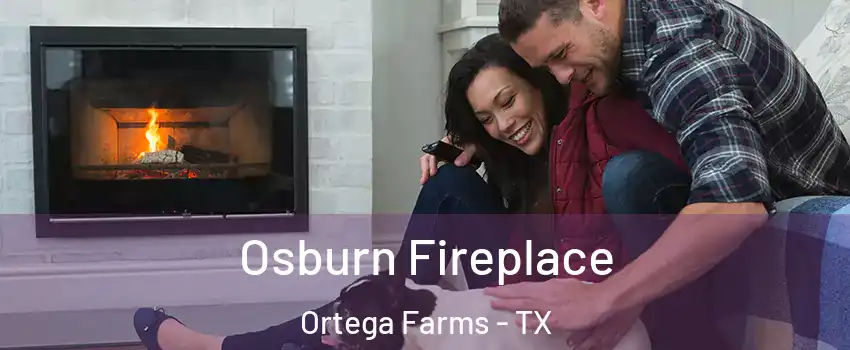 Osburn Fireplace Ortega Farms - TX