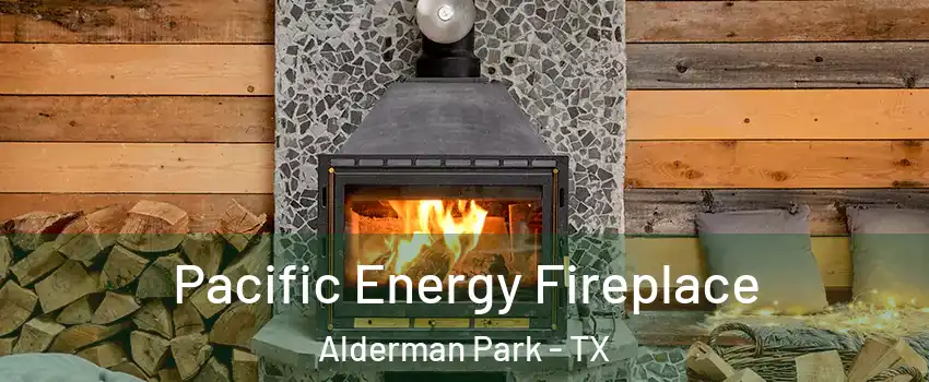 Pacific Energy Fireplace Alderman Park - TX