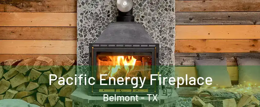 Pacific Energy Fireplace Belmont - TX