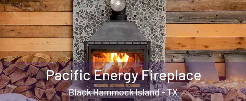 Pacific Energy Fireplace Black Hammock Island - TX