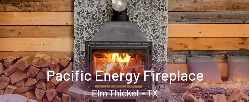 Pacific Energy Fireplace Elm Thicket - TX