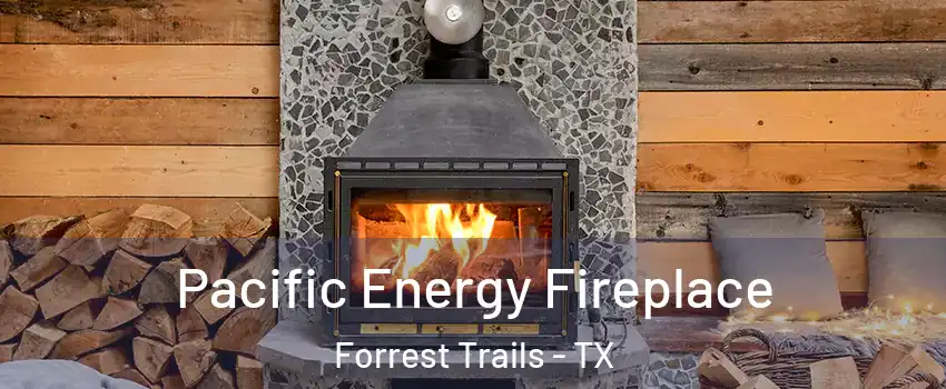 Pacific Energy Fireplace Forrest Trails - TX