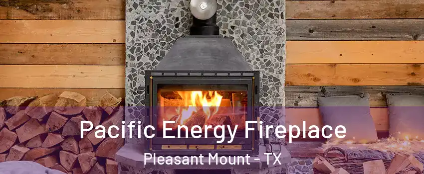 Pacific Energy Fireplace Pleasant Mount - TX