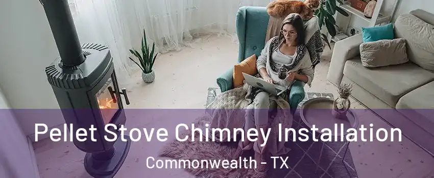 Pellet Stove Chimney Installation Commonwealth - TX