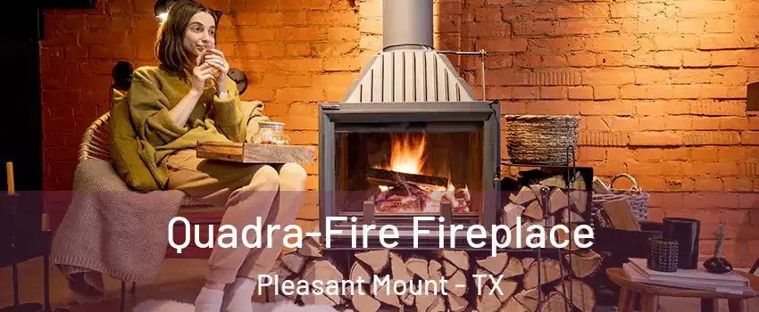 Quadra-Fire Fireplace Pleasant Mount - TX