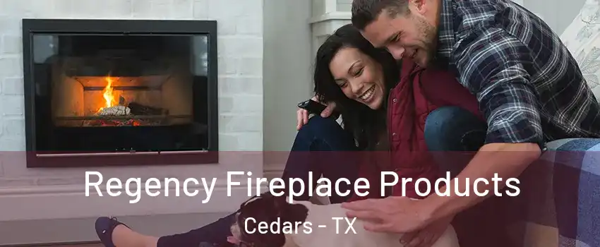 Regency Fireplace Products Cedars - TX