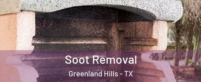 Soot Removal Greenland Hills - TX