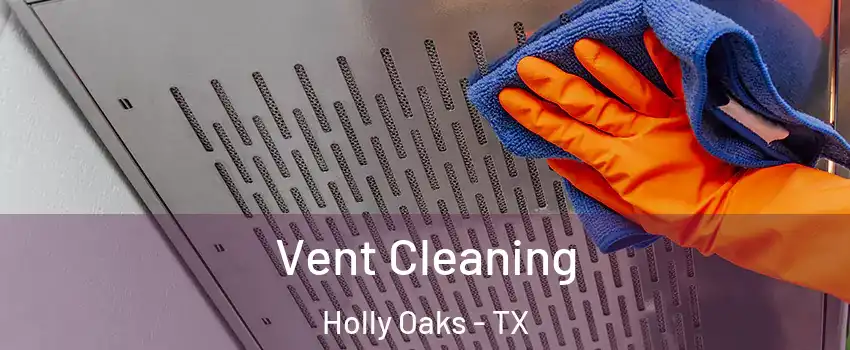 Vent Cleaning Holly Oaks - TX