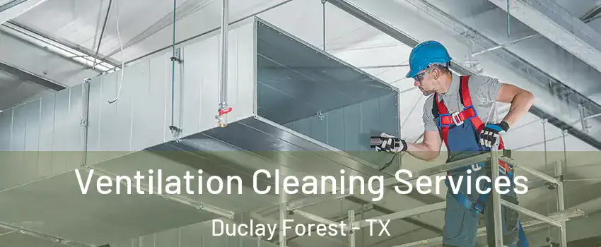 Ventilation Cleaning Services Duclay Forest - TX