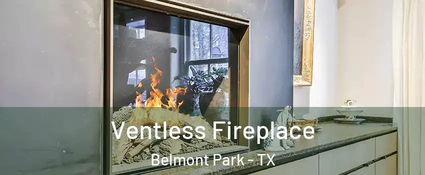 Ventless Fireplace Belmont Park - TX