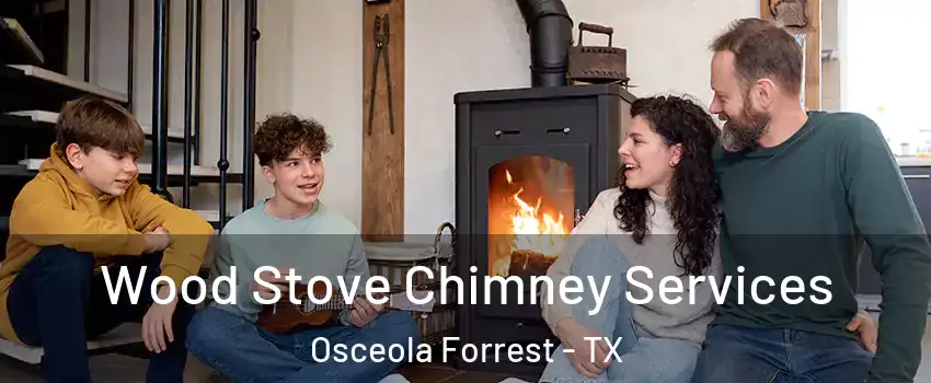 Wood Stove Chimney Services Osceola Forrest - TX