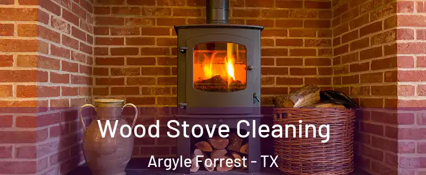 Wood Stove Cleaning Argyle Forrest - TX