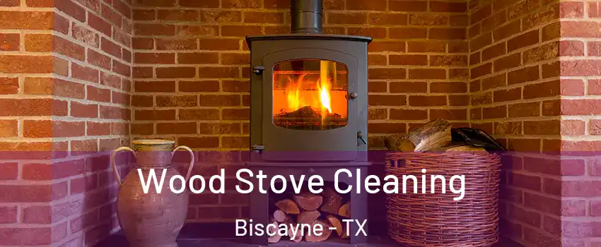 Wood Stove Cleaning Biscayne - TX