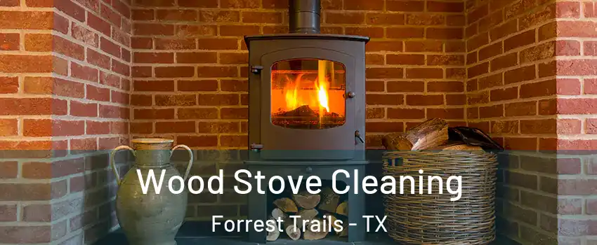 Wood Stove Cleaning Forrest Trails - TX