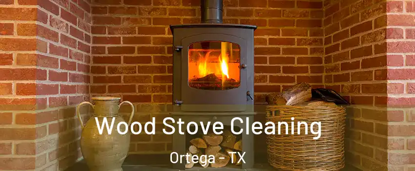 Wood Stove Cleaning Ortega - TX