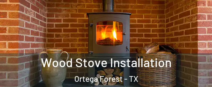 Wood Stove Installation Ortega Forest - TX